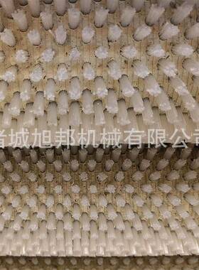 多功去能藕莴苣去皮15666889清洗机海蛎子杂莲清洗设果备百香毛辊
