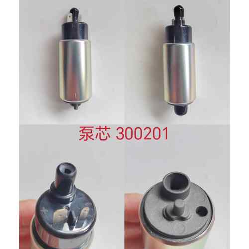 适用电喷国四机车滑板车110-125-150-190-250汽油泵芯马达电机 - 图2