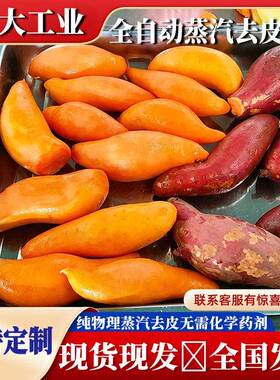 胡萝卜深加工蒸汽去皮机根茎类果蔬脆片前期全自动蒸汽脱皮机器