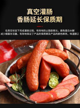 全自动真空灌装机商用型灌肠机烤肠腊肠香肠热狗大容量不锈钢设备