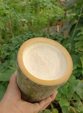 新鲜毛竹筒中间无节毛料两头堵两头空做竹片竹条风筝鸟笼篱笆雕刻