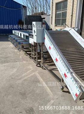 厂家百香果筛选机 大型苹果分选设备 多功能红枣山楂分级机