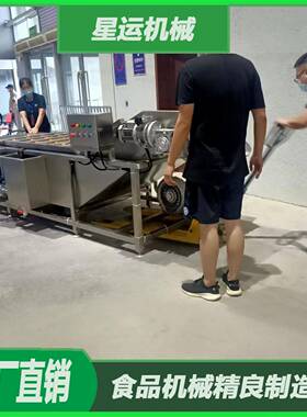 全机自动商气用蔬泡清洗机果多功能海鲜清洗设备洗菜海参星运清洗
