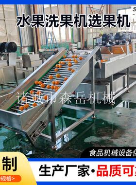 陈皮柑橘清洗筛果一体机沃柑毛刷洗果机砂糖橘洗果保鲜设备森岳