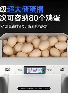 驰能全自动煎蛋机商用厨房设备无需人工28秒一个工厂直销