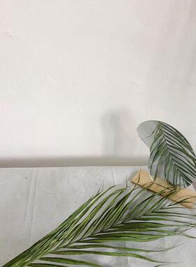 北欧ins风天然散尾葵风干树叶树枝摆件布景婚庆拍照道具干花花束