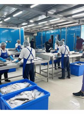 厂家直销大型隧道式速冻机食品海鲜肉类速冻设备-45℃超低温