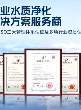 型1吨工821业O反渗透纯离水设备大 去子水处理系统净水R设备源头