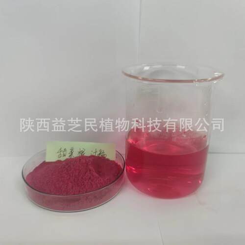 甜菜根汁粉 甜菜根提取物 现货 甜菜根粉 附三方检测 - 图2