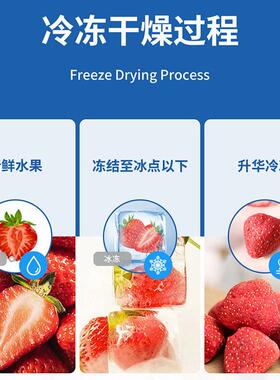 赞拓冻干机真空冷冻干燥机食物水果素菜冻干机科研宠物商用冻干机