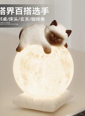 创意暹罗猫台灯轻奢高级感氛围夜灯卧室床头灯睡眠灯生日礼物女生