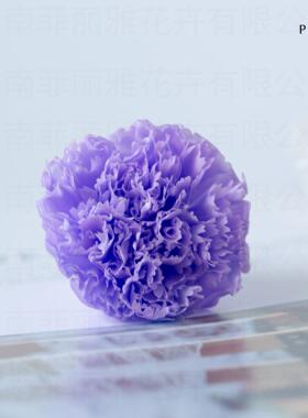 永生花康乃馨花头8朵装diy材料高级感礼品母亲节玫瑰干花花束