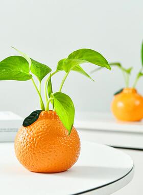 简约橘子小花瓶摆件客厅插花水培植物鲜花绿萝创意工艺品桌面装饰