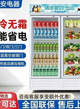 冷藏柜展示柜保鲜柜商用三门蔬菜冰箱立式双开门饮料柜大容量冷柜