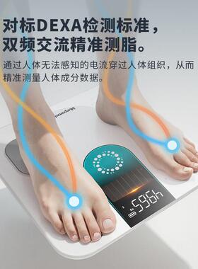 光能体脂秤减肥专用智能体重计重电子秤家用精准太阳能人体健康秤