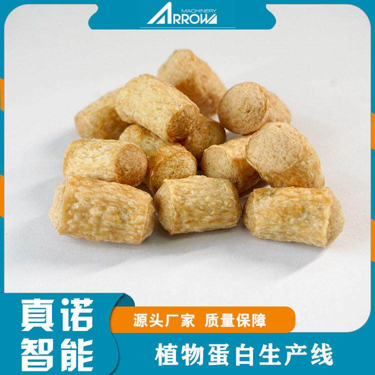 Soybean tissue drawing protein processing equipment Zhennuo intelligent multi-functional fully automatic complete set of protein extruder