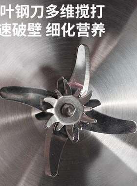 德国品质豆浆机家用全自动多功能无渣免煮免过滤小辅食榨汁破壁机
