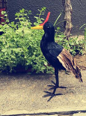 仿真董鸡工艺品橱窗美陈造景装饰小摆件外拍摄影教学演示