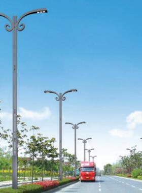 供应市电路灯杆多头LED路灯工程款路灯园林景区广场景观灯