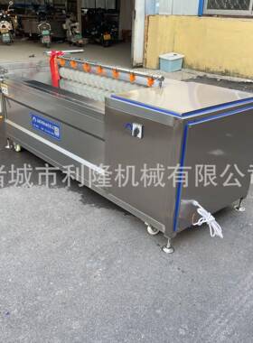 多功能毛刷清洗机 青萝卜洗泥沙脱皮机猪蹄猪头去黑炭清洗设备