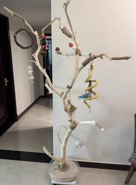 鸟站架树枝树杆鹦鹉站架树干原木站杆树杈秋千鸟笼实木灯架枯枝