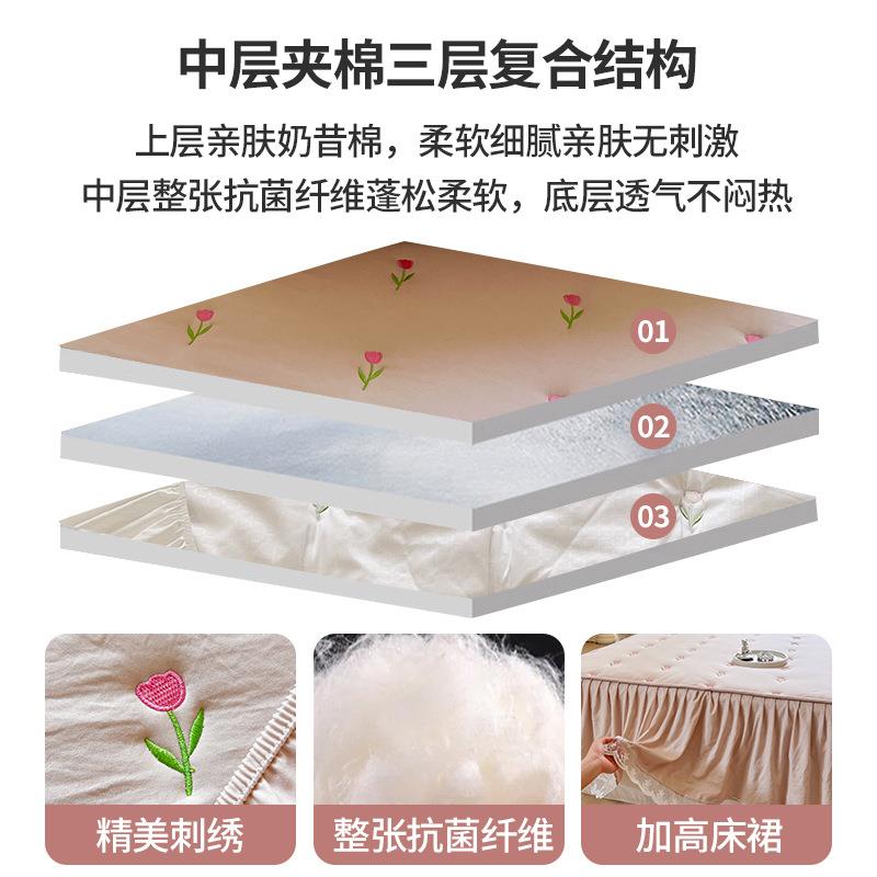 2025新款水洗棉夹棉花边床笠床裙二合一加厚床罩席梦思床垫保护套-图2