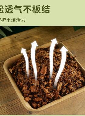 甄选进口脱盐椰壳块保湿透气沥水爬宠垫材免泡过筛椰壳爬宠椰壳