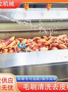 全自动红薯清洗机毛辊式土豆生姜清洗去泥设备不锈钢马蹄清洗机