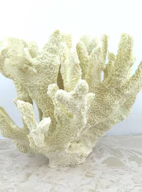 创意0233北欧风K格仿真珊瑚树视脂摆件简约样几板房客厅电柜茶家