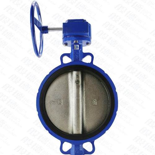 涡轮对夹式蝶阀球墨铸铁/铸钢手动蝶阀D371X-16Q软密封蝶阀dn250 - 图2