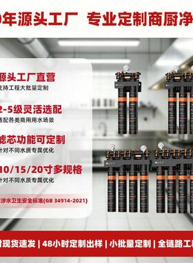定制OEM商用5级并联前置直饮净水器大流量奶茶店咖啡店餐饮过滤器