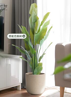 简约现代水泥花盆白色透气大型户外别墅花园客厅绿植水泥盆高级感