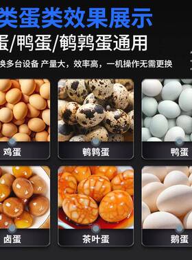小型鸡蛋剥壳机全自动不伤蛋快速去皮设备小型鸡蛋剥壳机
