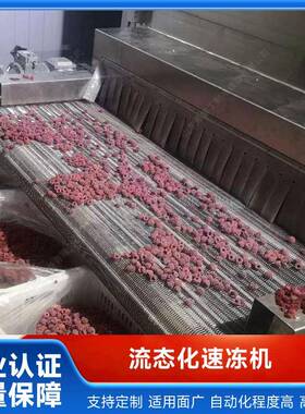 连续式流态化速冻机玉米粒毛豆仁青豌豆青刀豆草莓芒果单体冻结机