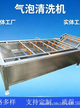 桑葚全自动气泡清洗机果蔬海鲜清洗设备厂包装食品清洗风干流水线