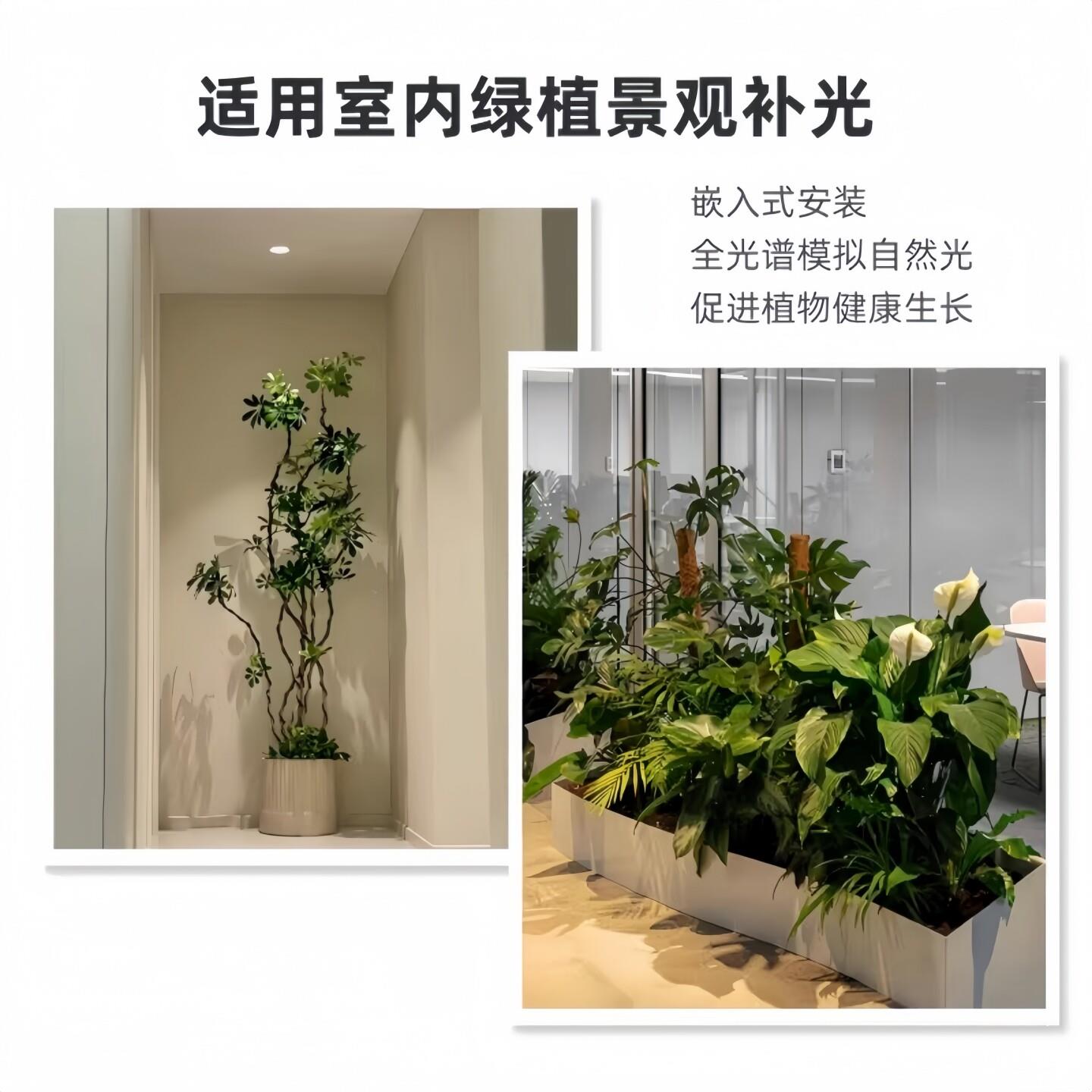 Plant fill light spotlight household LED indoor dedicated full spectrum imitation sunlight embedded green plant growth downlight