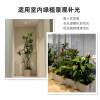 Plant fill light spotlight household LED indoor dedicated full spectrum imitation sunlight embedded green plant growth downlight