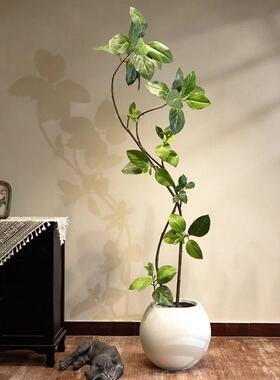 彷真绿色植物孟加拉榕室内客厅装饰高端轻奢彷生花大型落地盆栽彷
