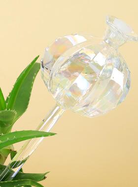 仙人球浇花器玻璃 自动懒人浇灌滴水滴灌浇水 玻璃浇花器