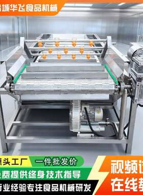 自动气泡清洗机 苹果冬枣核桃循环水喷淋清洗 农产品头加工设备
