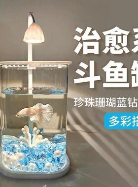 创意斗鱼生态养鱼玻璃缸适用缸小型网红造景桌面观赏小夜灯装饰TJ