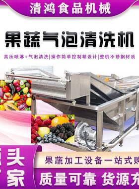 农产品预制菜深加工流水线不锈钢韭菜气泡清洗机速冻豆角生产线