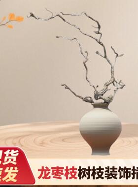 龙枣枝树枝装饰宿酒店茶室艺术插花意境造型软装装饰树枝现货