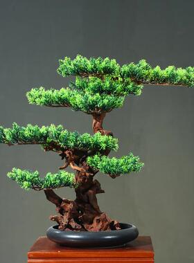 新中式迎客松盆景客厅玄关假松树摆件室内绿植物装饰真树造景