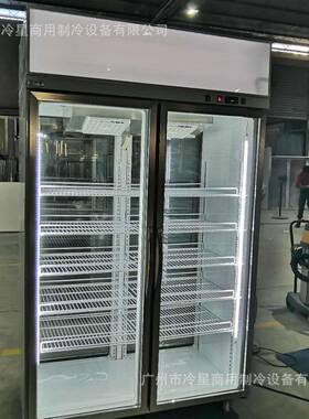 双门饮料柜110V60HZ双通两面对开玻璃门酒水展示冰柜风冷商用冰箱
