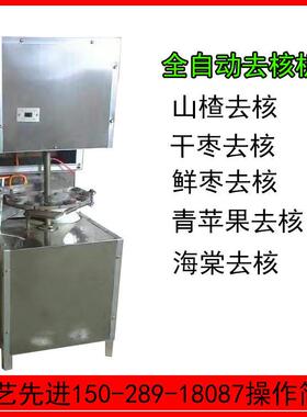 红枣去核机灰枣去籽机全自动山楂去核机商用去果核设备小型