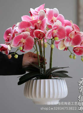 现代家居仿真花蝴蝶兰盆景摆件高档客厅电视柜花艺盆栽装饰花假花