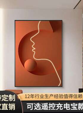 轻奢灯画玄关客厅装饰画LED发光灯带画走廊挂画艺术轻奢过道壁画