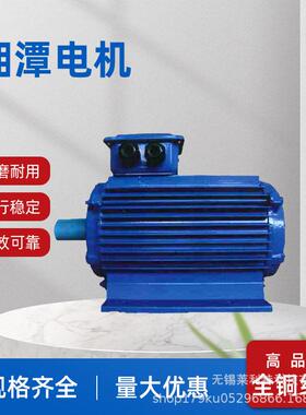 湖南湘潭电机YEJ系列三相异步电动机全铜线圈厂家直供
