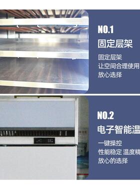 商用插盘柜直冷饺子面团冷冻冷藏冰箱带烤盘架生鲜速冻柜